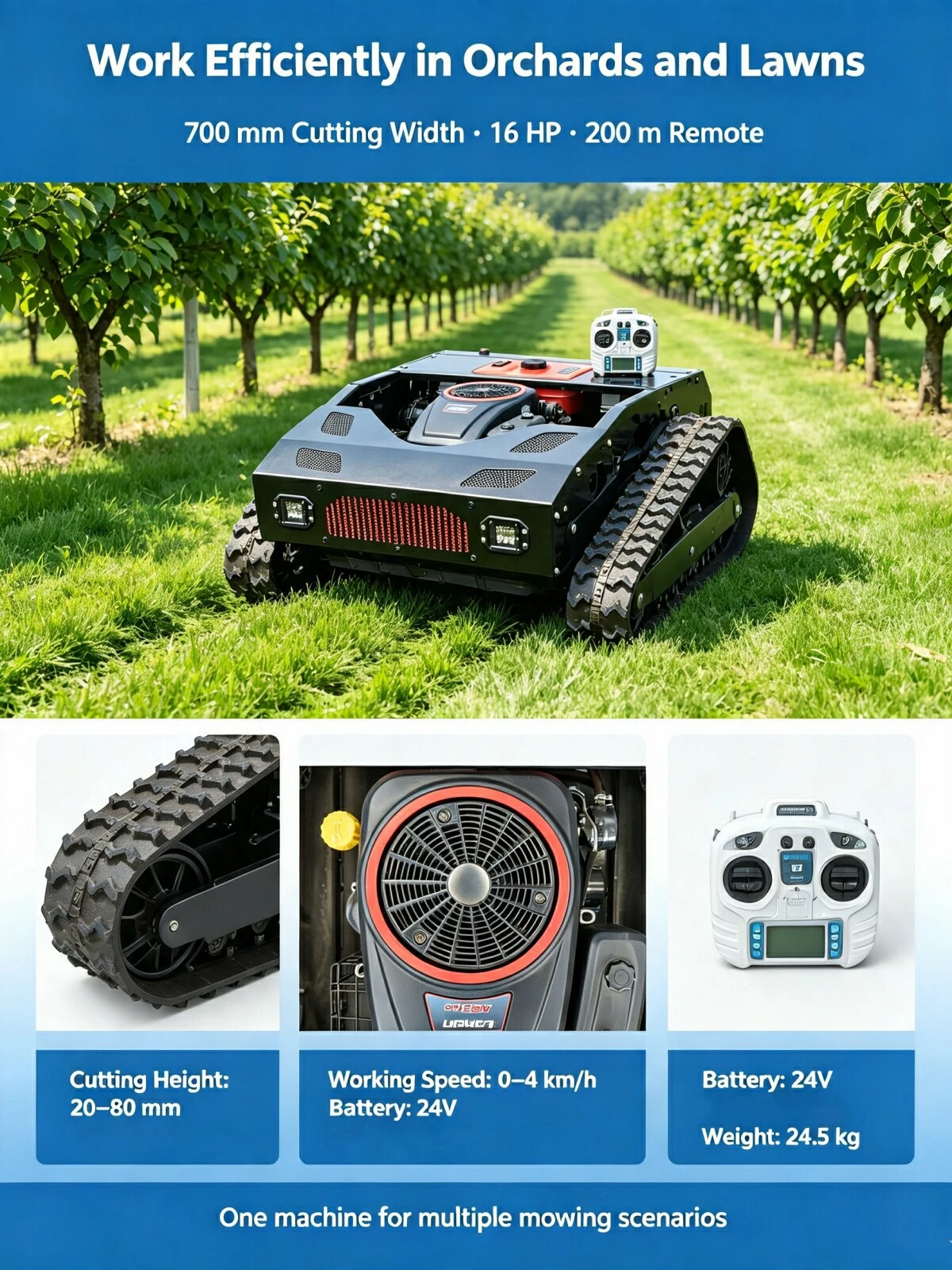 product-1200-1600 product-1200-1600